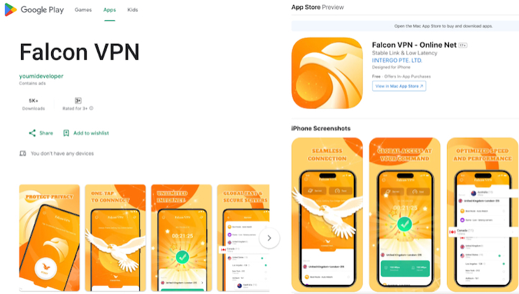 Use Falcon VPN to Protect Your Network