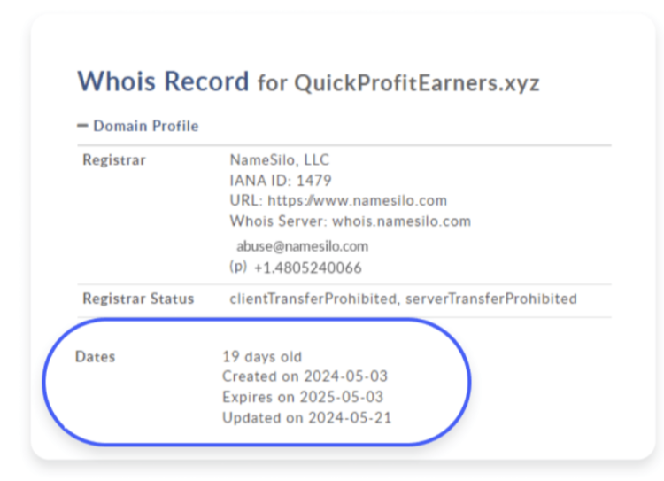 check the domain age of a fake website