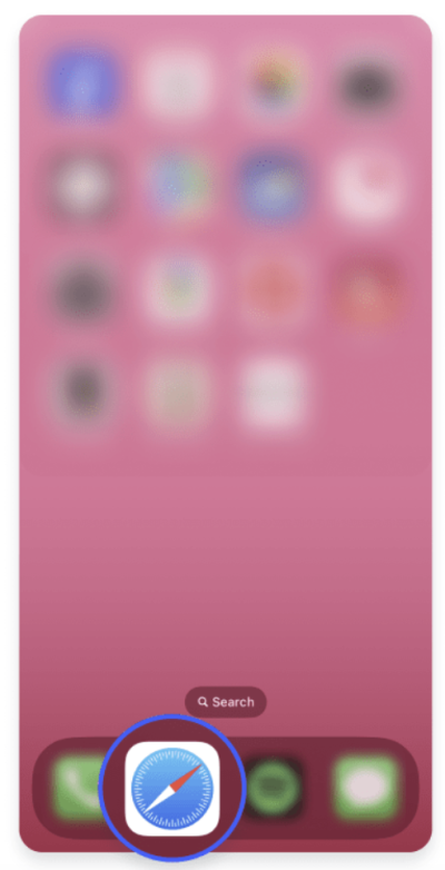 Open Safari on your iPhone