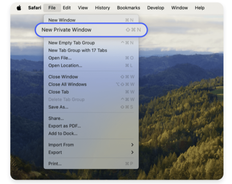 new private window
