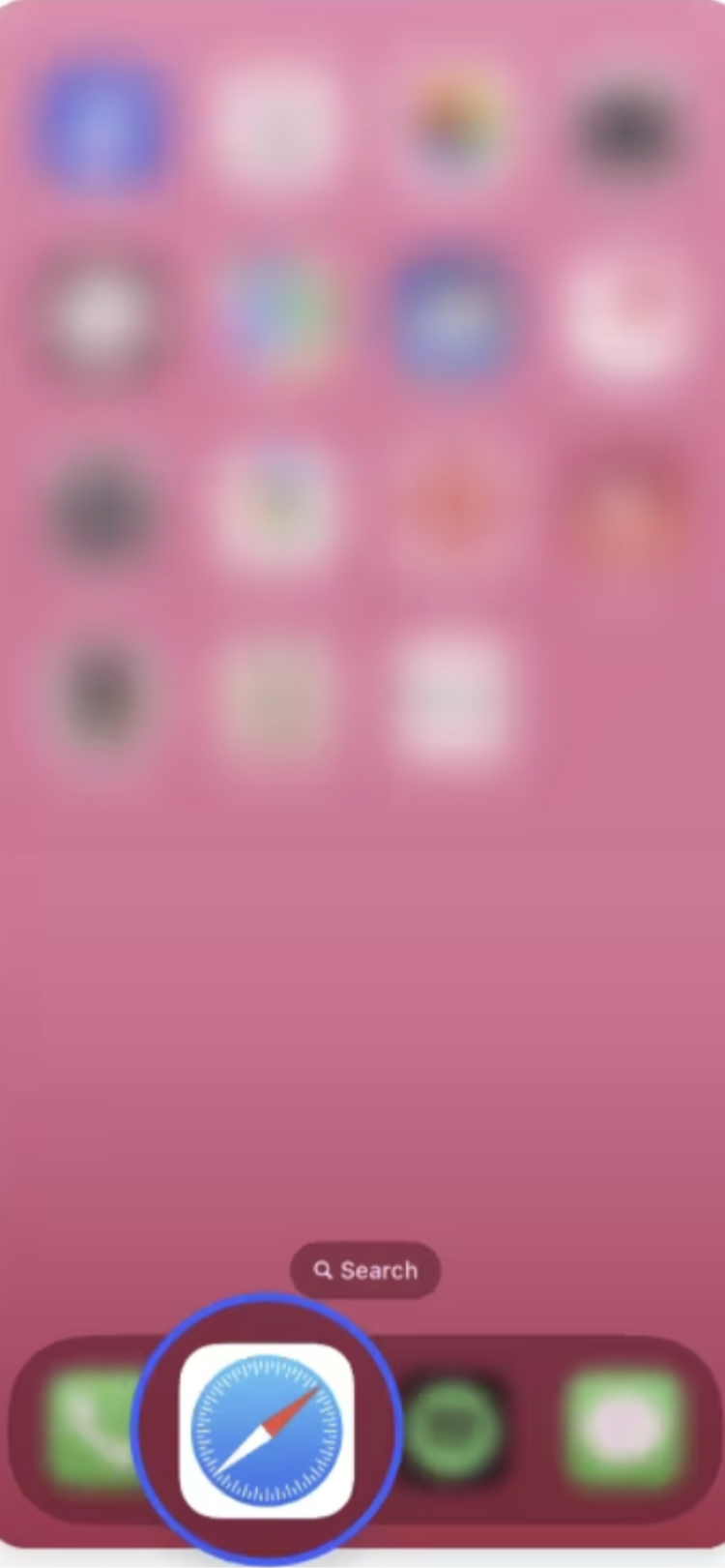 Open Safari on your iPhone.