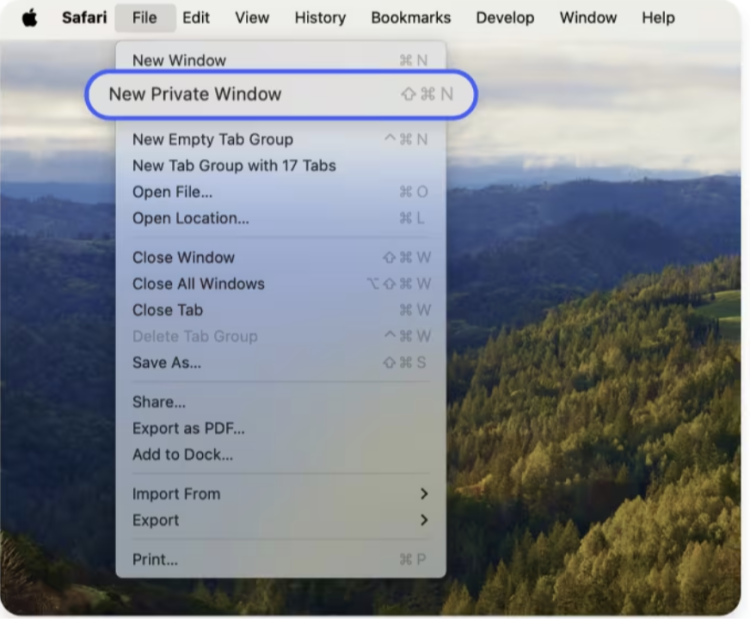 Click New private window