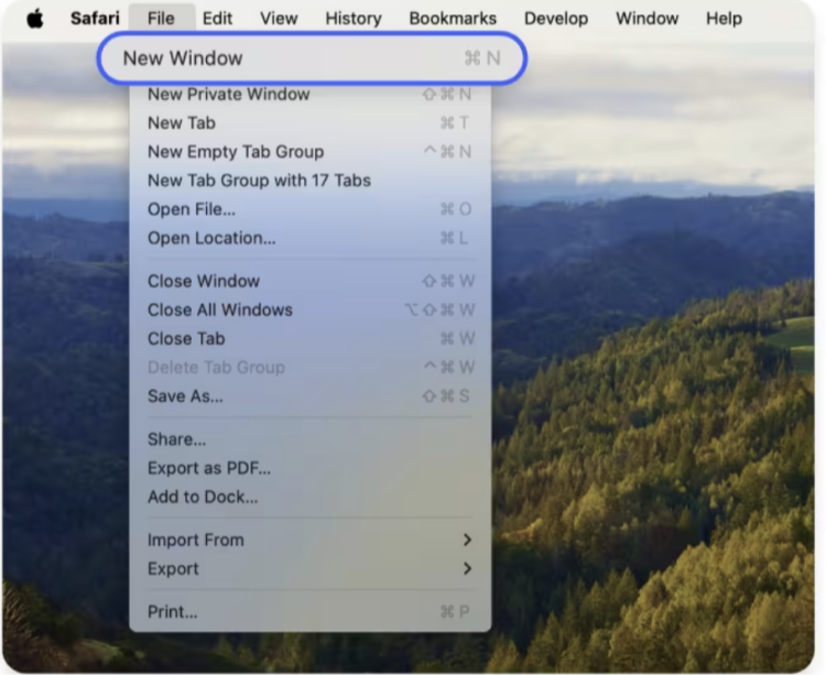  Click New window